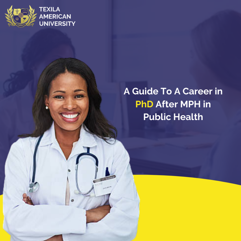 A Guide to a Career in PhD After MPH in Public Health