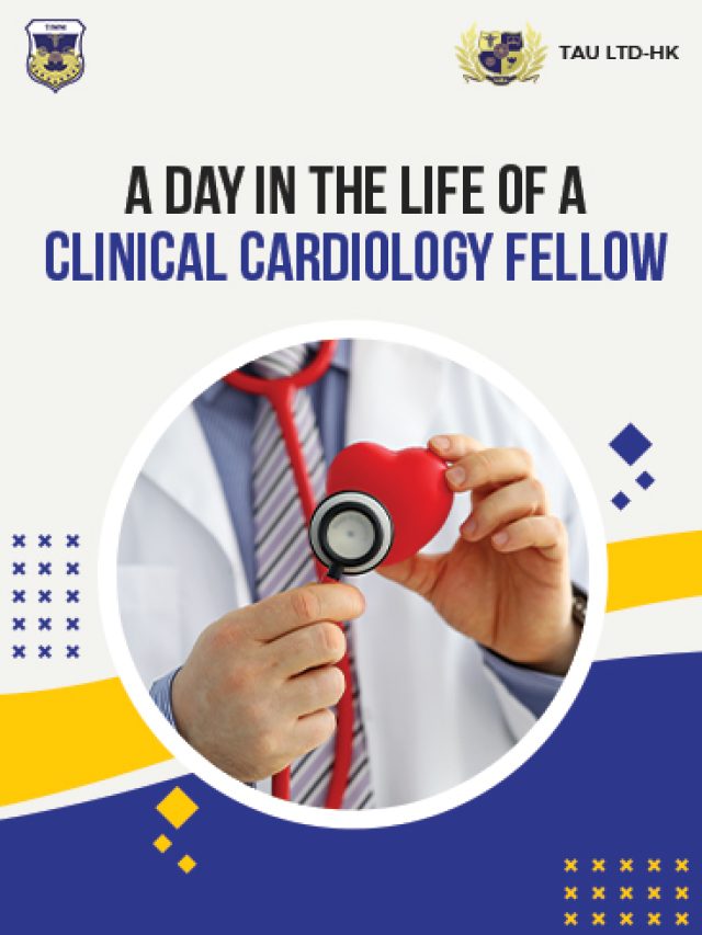 Daily routine of a clinical cardiology fellow